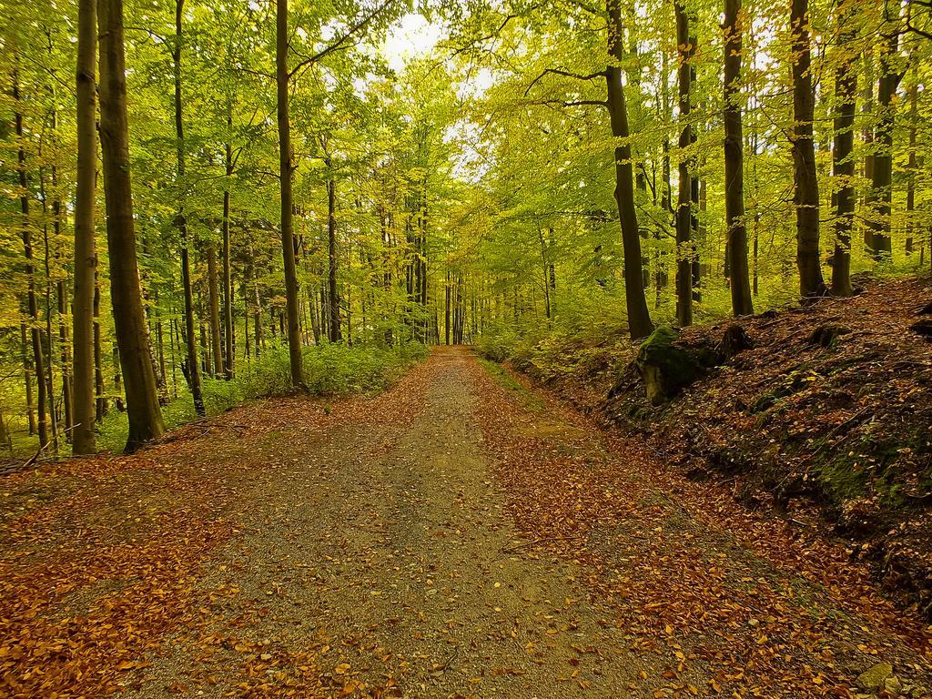 Prázdninový dům Zacisze Pod Smielcem